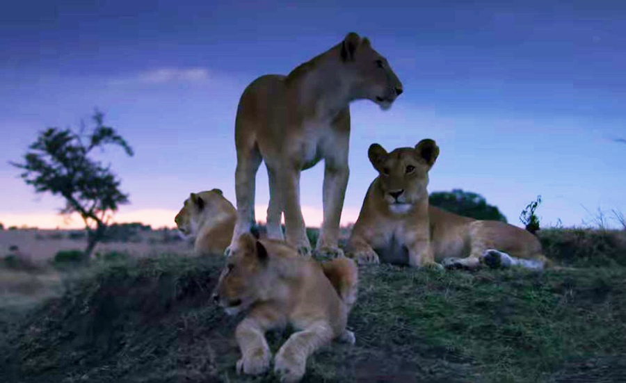 Netflix Dünya’da Gece fragmanı yayınlandı!