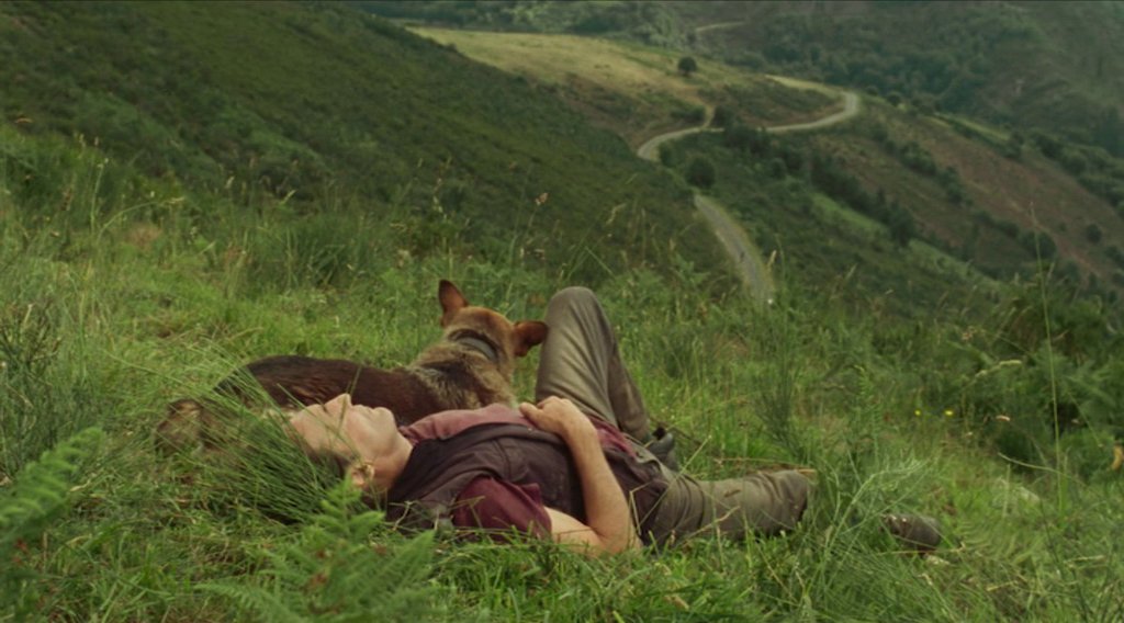 Üç Festival Bir Arada