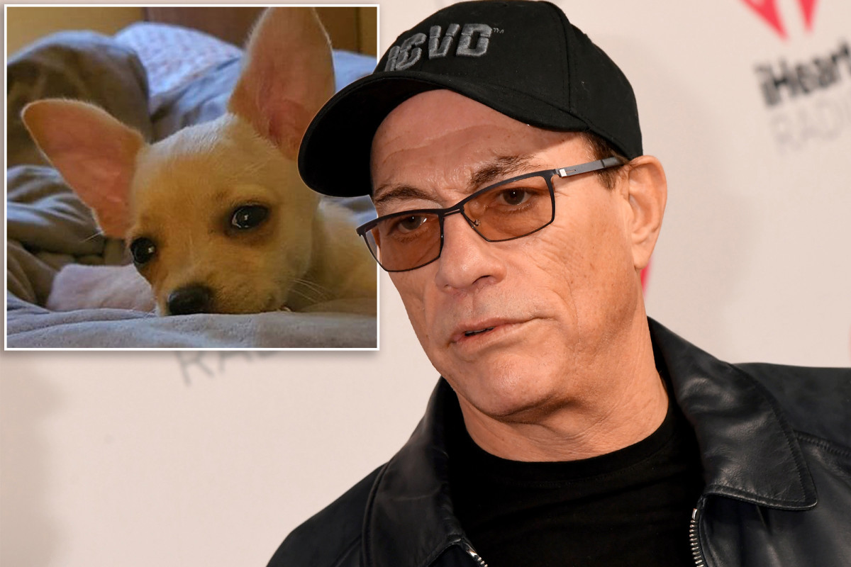 Jean-Claude Van Damme yavru köpeğin hayatını kurtardı