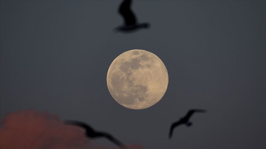 NASA 26 Ekim'de Ay hakkında yeni bir keşif açıklayacak