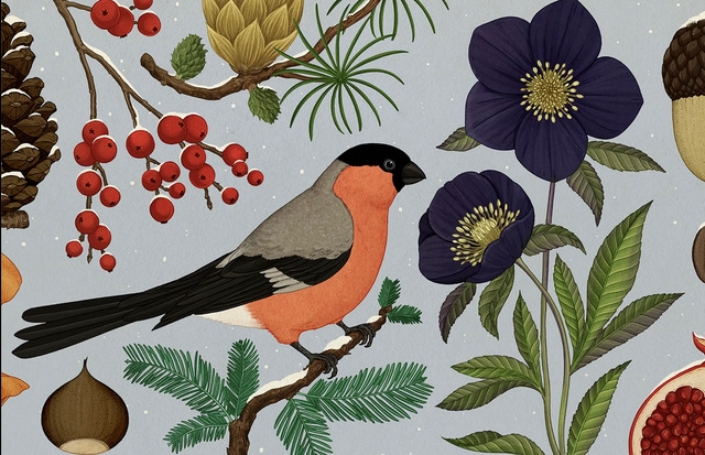 Apple Music ile "Kış Titreşimleri"