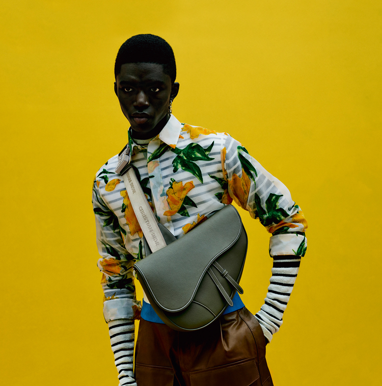 Saddle Evreninin Yeni Üyesi: Maxi