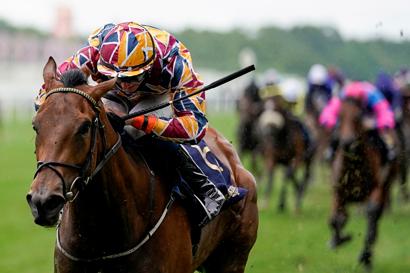 En prestijli at yarışlarına zarif dokunuş