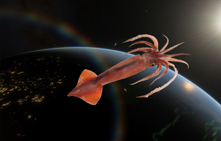 Uzay uçuşlarının insan sağlığına etkisi mürekkep balıkları sayesinde tespit edilebilecek