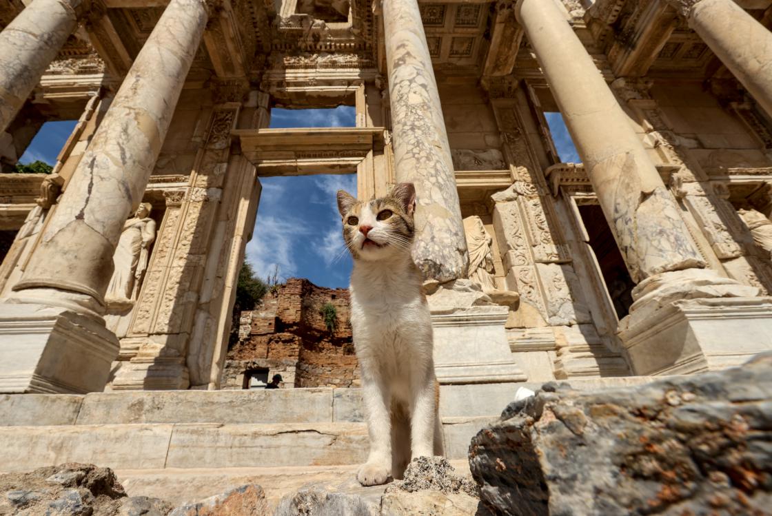 Efes Antik Kenti'ne ziyaretçi akını