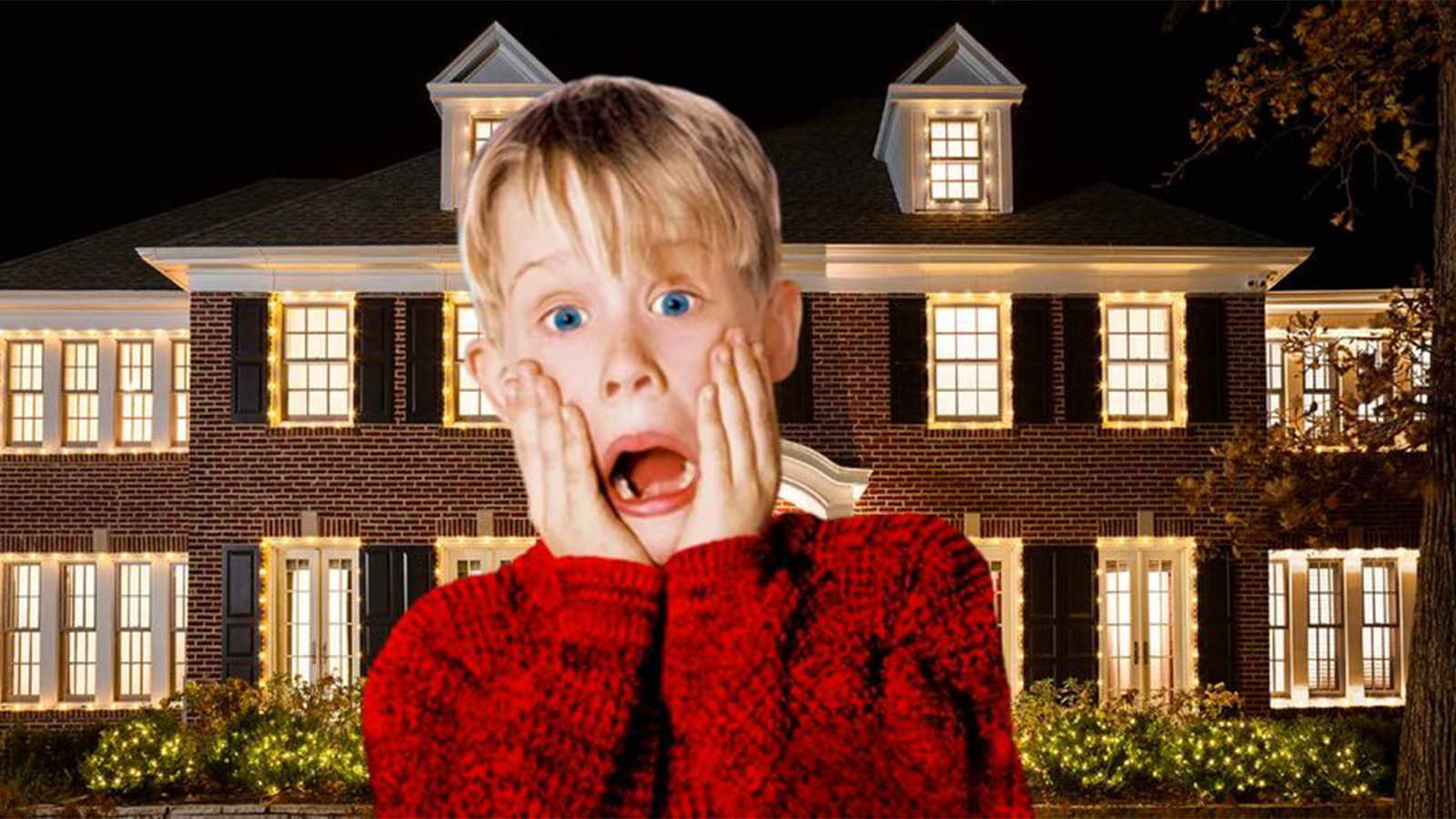 Evde Tek Başına'daki Ev Kiralanabilecek