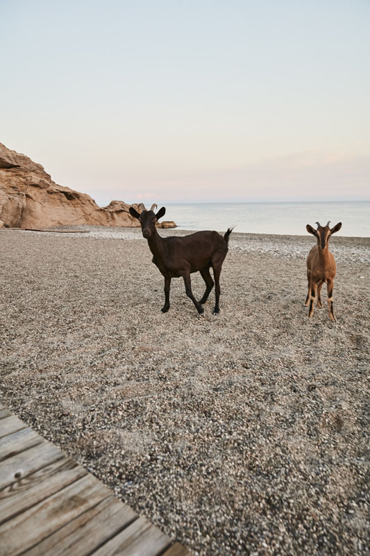 Lüks ile Doğanın Kusursuz Uyumu: Maxx Royal Kemer Resort