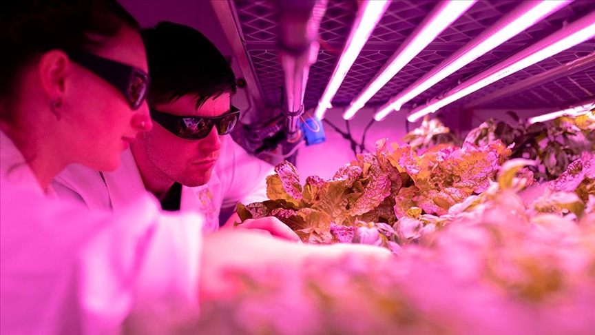 2021 Yılının 'Yükselen' 10 Teknolojisi Belirlendi