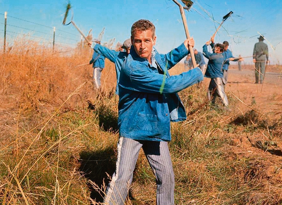 Gömlek Ceket Üzerıne: E.G.R. Kesimi