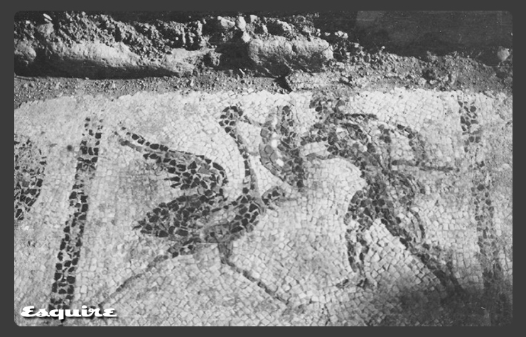 Amerikalı arkeolog Blegen'in 90 yıllık arşivi Troya araştırmacılarının hizmetinde