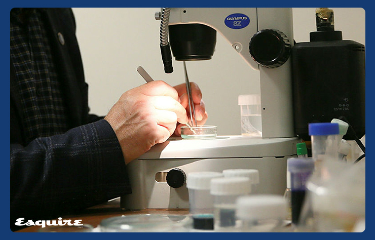 Türk bilim insanları Zonguldak'ta yeni bir canlı türü keşfetti