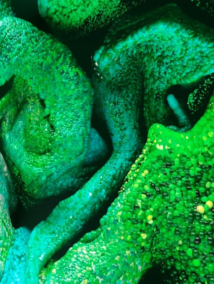 Refik Anadol’un Yeni Projesi “Inner Portrait”