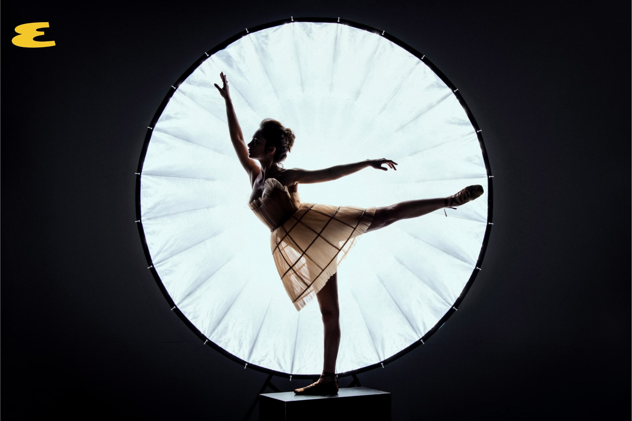 Esquire Art Issue No: 3 Denise Capezza