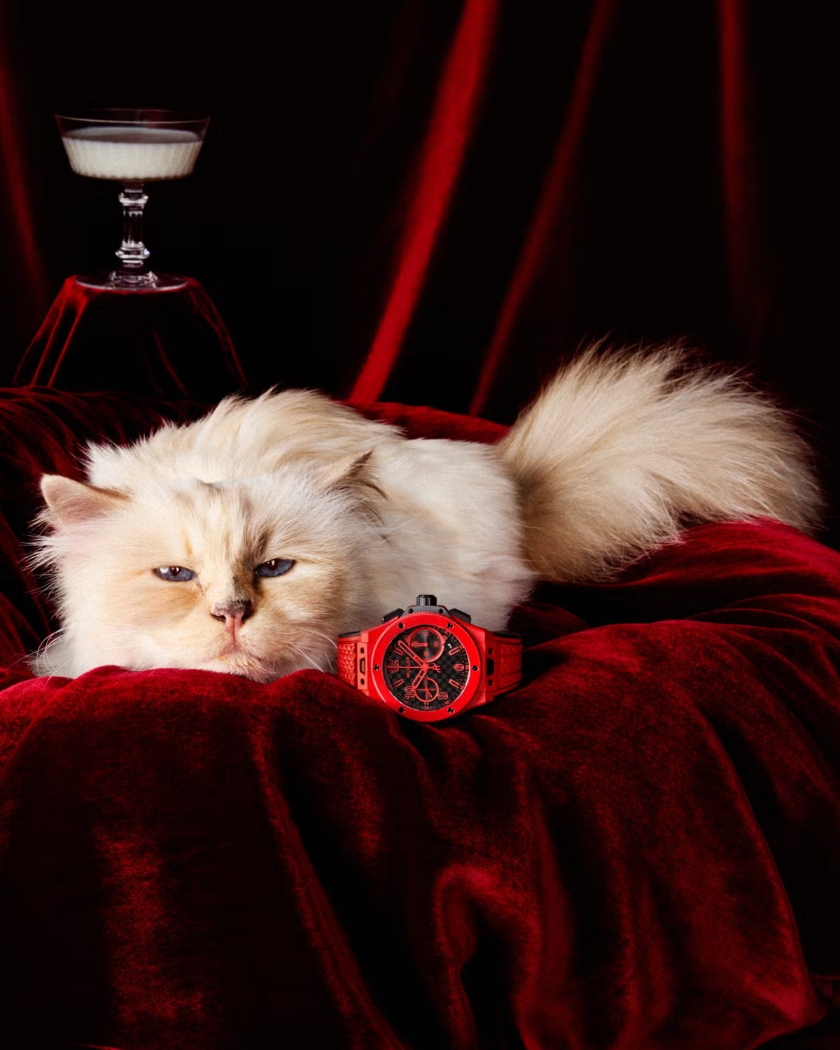 Hublot'nun Yeni Saat Elçisi Lagerfeld’in Kedisi Choupette