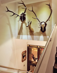 Alara Koçibey stili ev