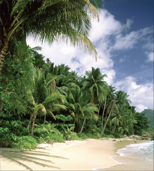 yeryüzü cenneti phuket