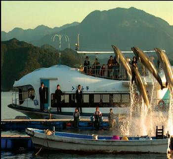 29. İstanbul Film Festivali Rehberi