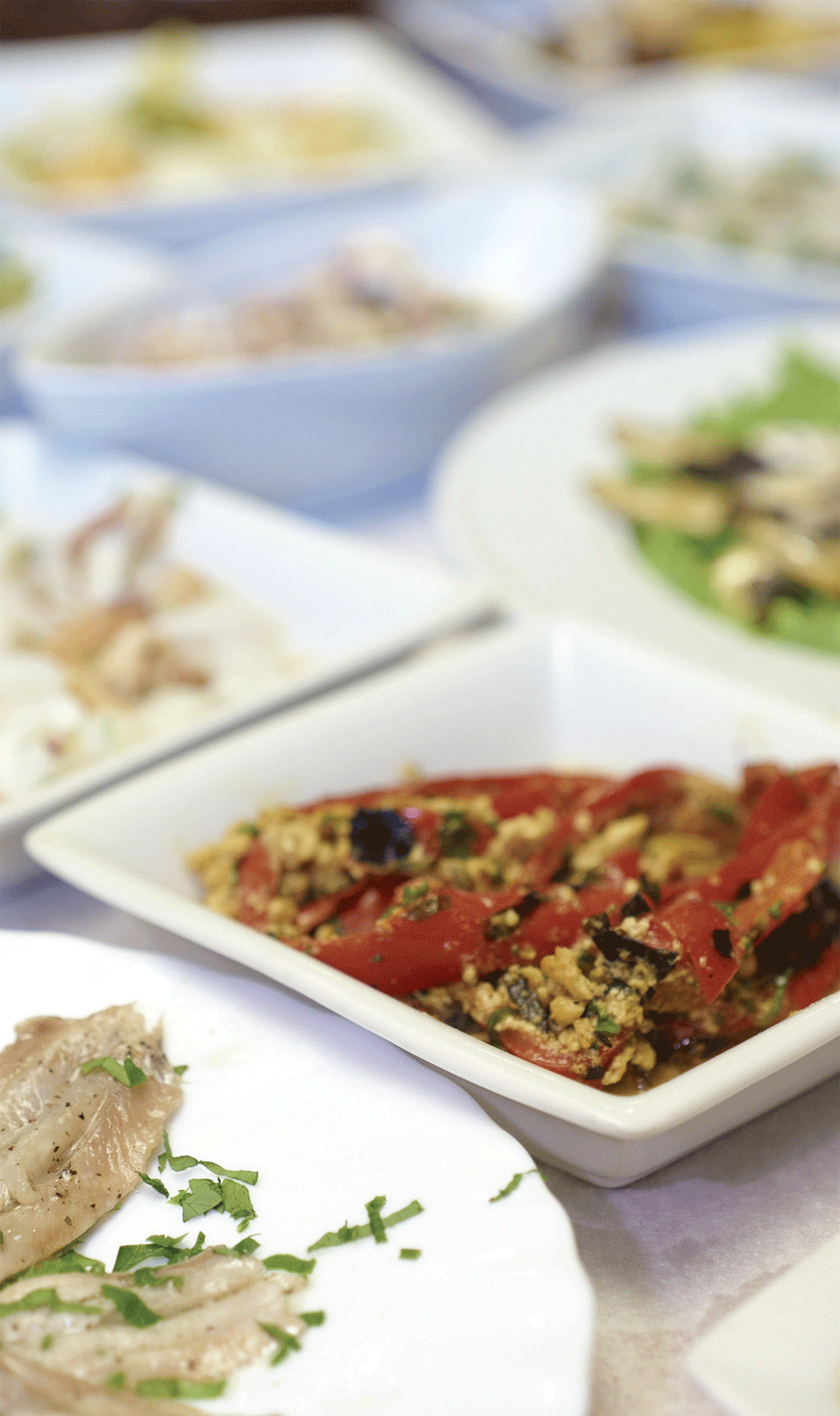  Balkanlarda bir masal