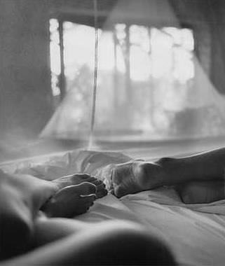 Ertesi gün neler oldu?