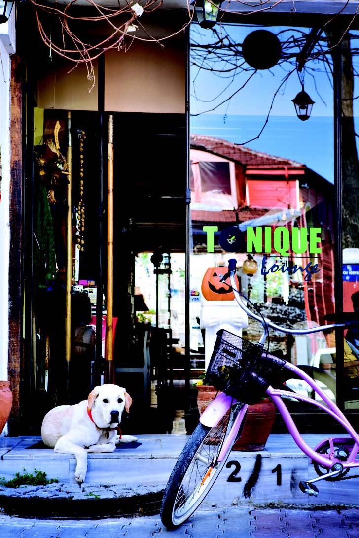 İstanbul'da Ege'yi yaşamak