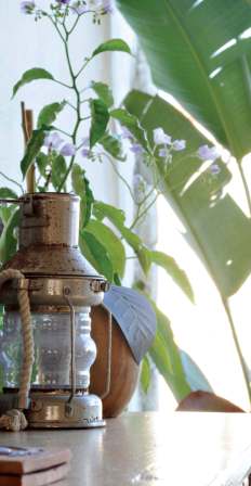 Düşlerin gerçeğe dönüştüğü evler