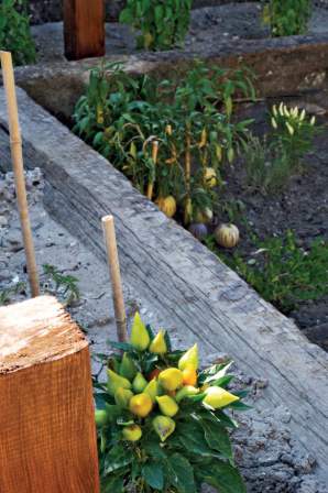 Düşlerin gerçeğe dönüştüğü evler