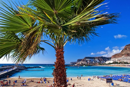 Afrika açıklarında bir cennet: Kanarya Adaları