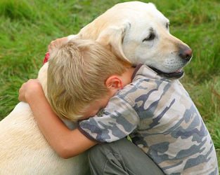 Çocuklu bir evde hayvan beslemek için olası riskleri azaltın!