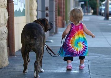 Çocuklu bir evde hayvan beslemek için olası riskleri azaltın!