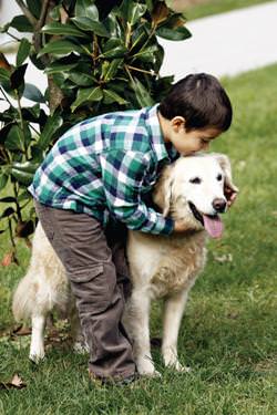 Çocuklu bir evde hayvan beslemek için olası riskleri azaltın!