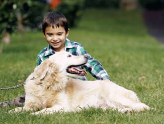 Çocuklu bir evde hayvan beslemek için olası riskleri azaltın!
