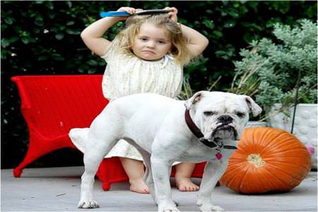 Çocuklu bir evde hayvan beslemek için olası riskleri azaltın!