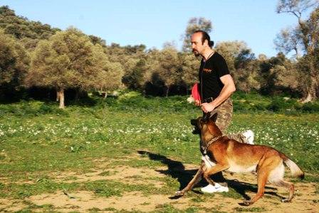 Siz işe köpeğiniz gezmeye