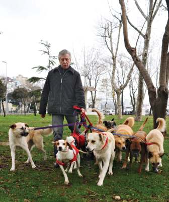 Siz işe köpeğiniz gezmeye