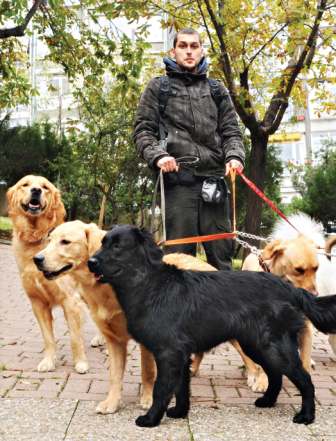 Siz işe köpeğiniz gezmeye