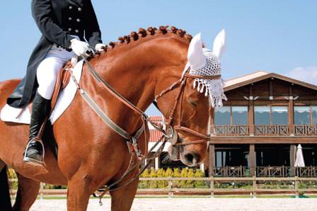 Scooter ile ada turu