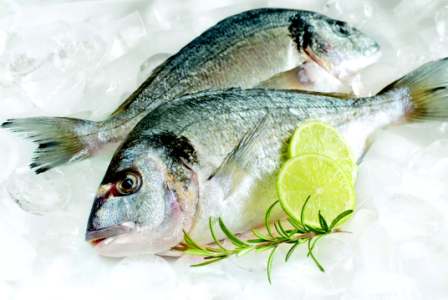 9 ay boyunca hangi balık yenmeli hangisi yenmemeli?