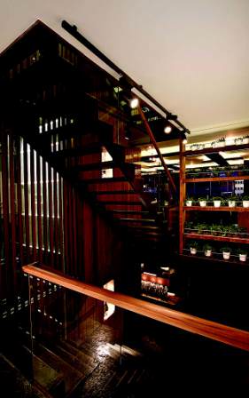 Haftasonu nerede, ne yesek?