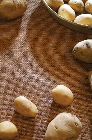 Bir patatesten neler yapabiliriz?