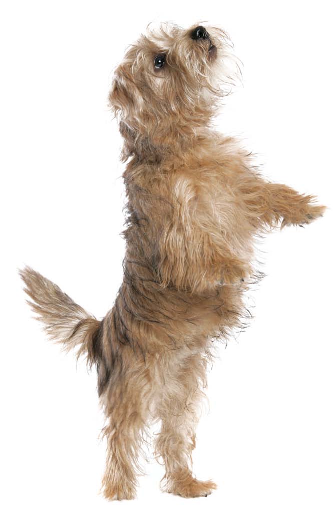 Kendim için yaptığım 15 iyi şey