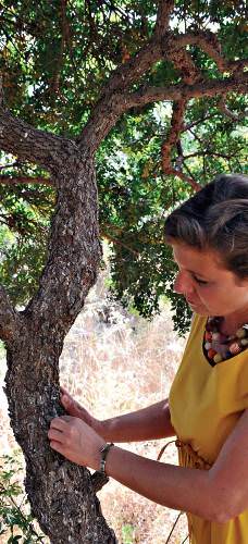 Sokak sokak Alaçatı...