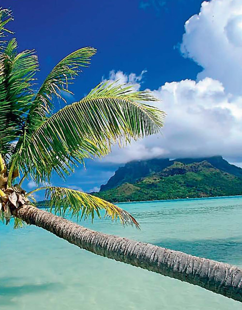 Dünyanın en ünlü adalarından... Bora Bora