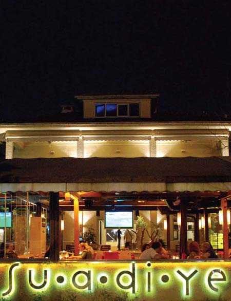 İstanbul'un kış bahçeleri