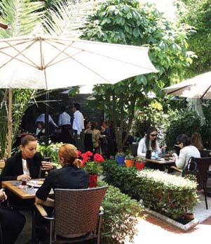 İstanbul'un kış bahçeleri