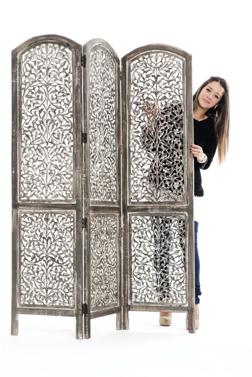 Paravanın arkasında