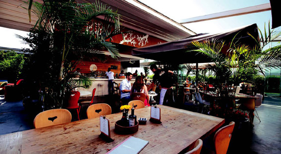 En eğlenceli 10 teras!