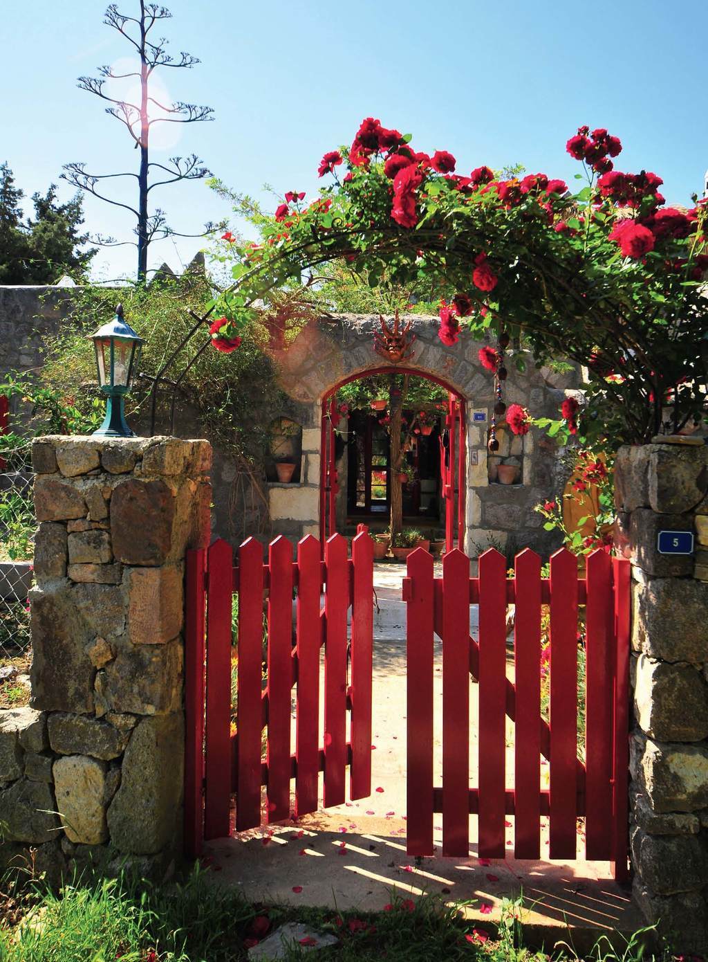 Rengarenk evin öyküsü..