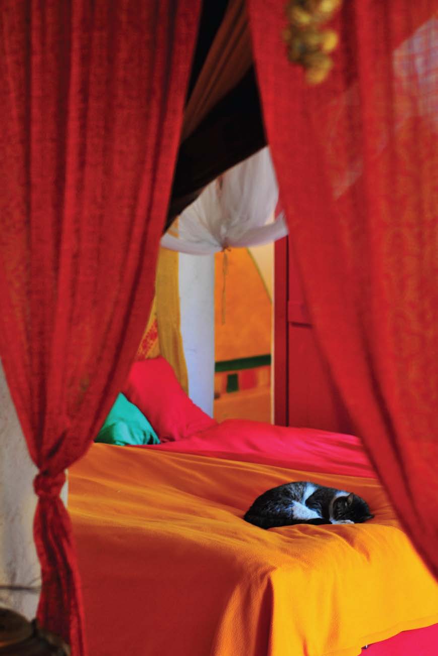 Rengarenk evin öyküsü..