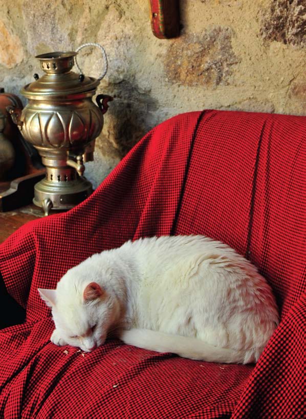 Rengarenk evin öyküsü..