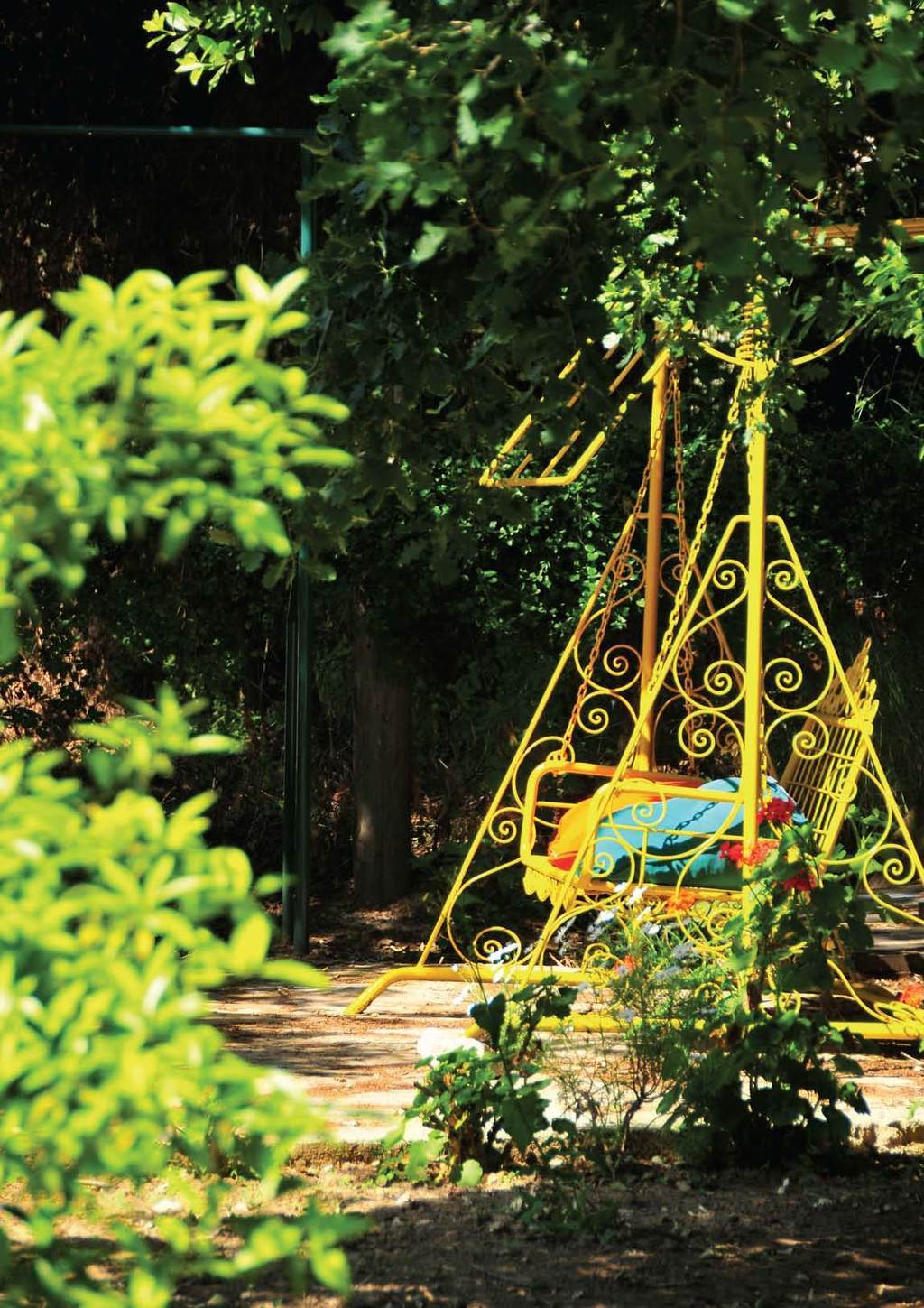 Rengarenk evin öyküsü..